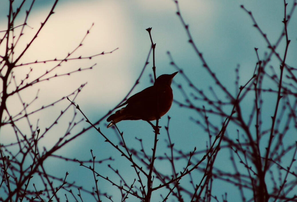 Miscellaneous Independent Photography